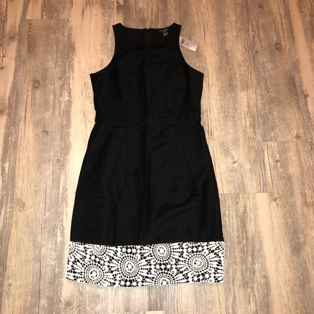 Ann Taylor Dress